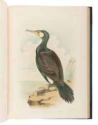 BROINOWSKI, Gracius Joseph (1837-1913). The Birds of Australia . Melbourne, Sydney, Adelaide, Brisbane, New Zealand and Tasmania: S.T. Leigh & Co. for Charles Stuart & Co., 1890-1891.