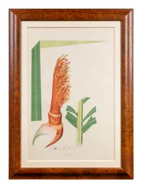 A Set of Eight Framed Botanical Chromolithographs — J Goffin Fils, Bruxelles