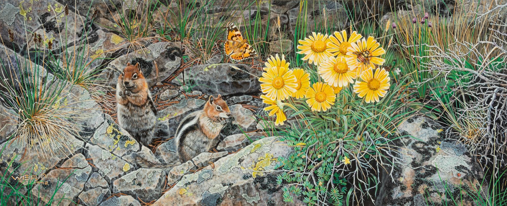 Alpine Mengerie , 1992
