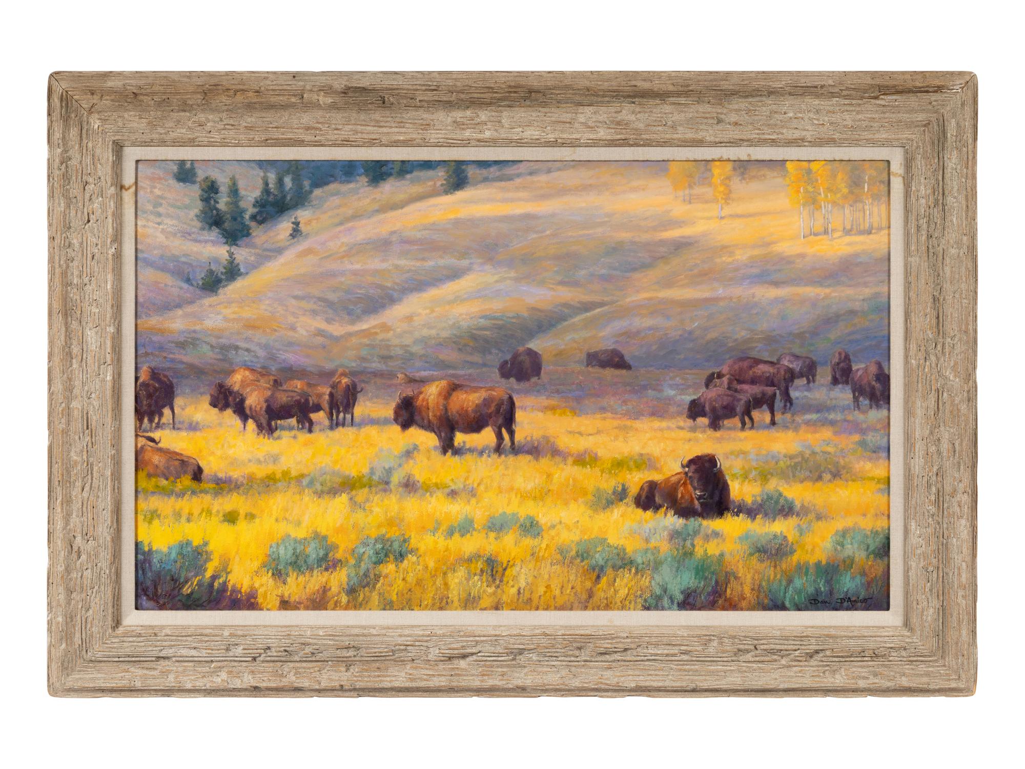 Cloud Shadows (Bison), 1996