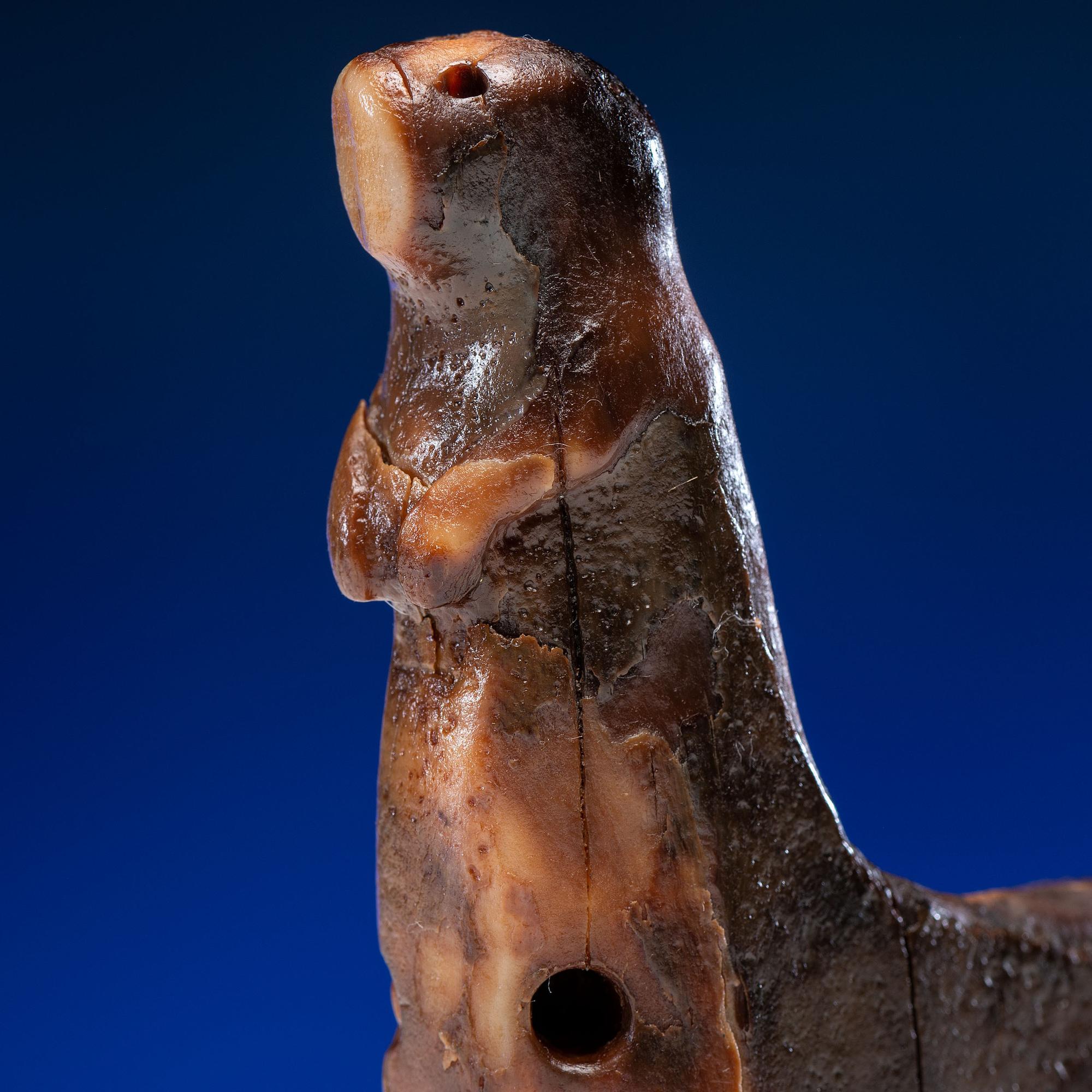 Iñupiat Fossilized Walrus Ivory Harpoon Rest, with Seals