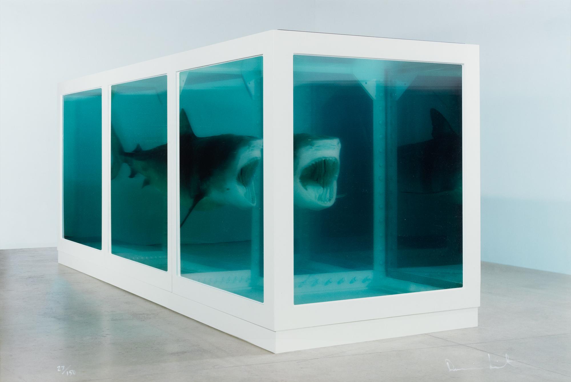 The Physical Impossibility of Death in the Mind of Someone Living