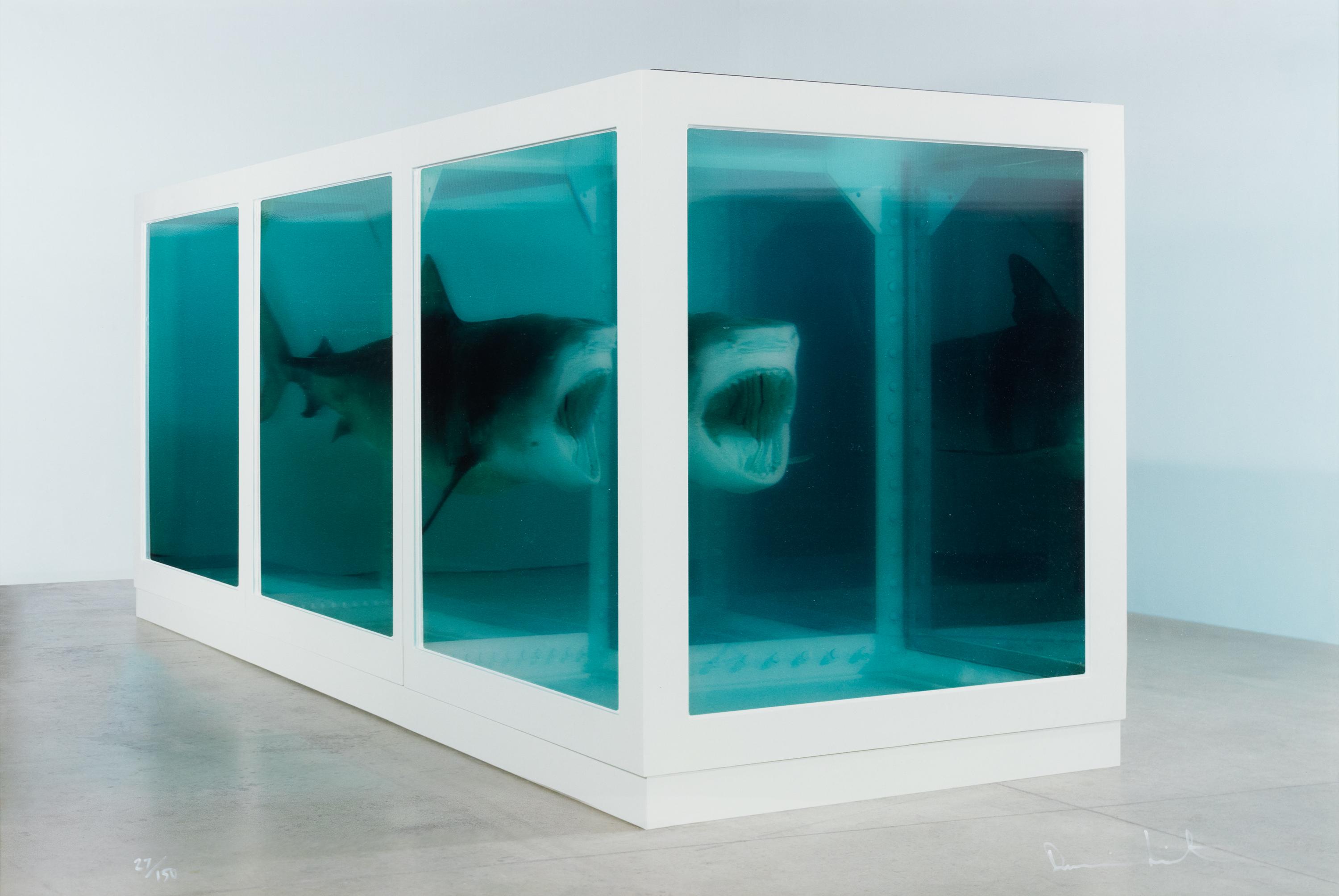 The Physical Impossibility of Death in the Mind of Someone Living