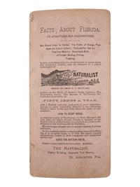 [NATIVE AMERICANS]. A picture of the Indian Cut Throats & Scalpers . St. Augustine, FL.