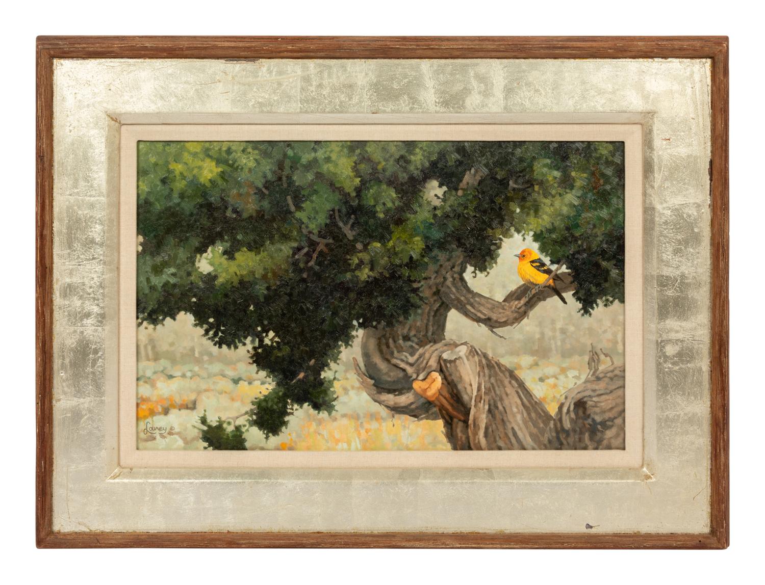 Bear Creek Juniper , 2006