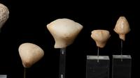 A Group of 6 Anatolian Marble Heads