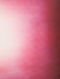 Shadow IV (Fuchsia Red) , 2011