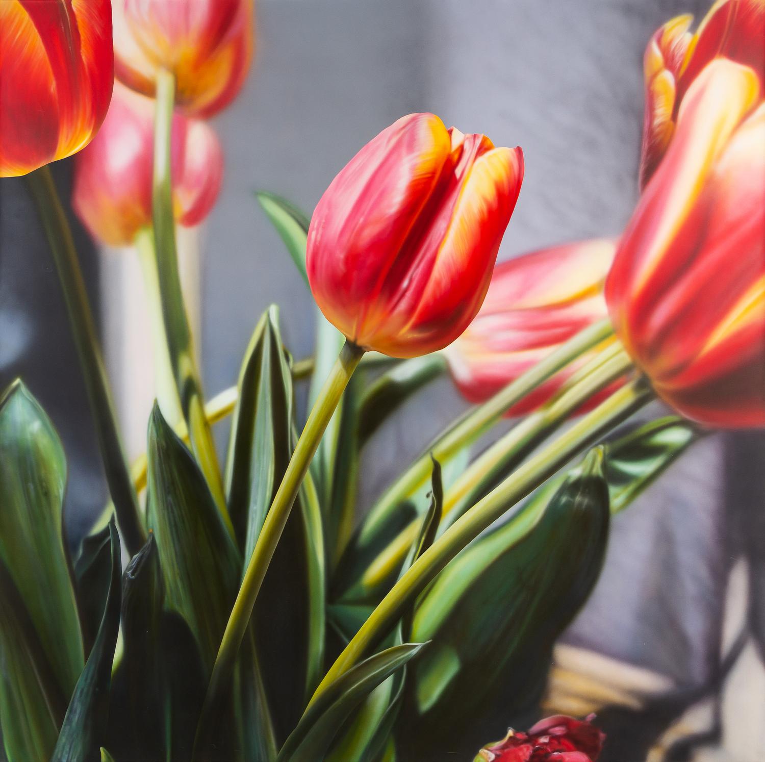 Ben Schonzeit, (American, b. 1942), Tulips, 1974