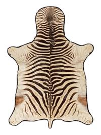 A Taxidermy Zebra Rug