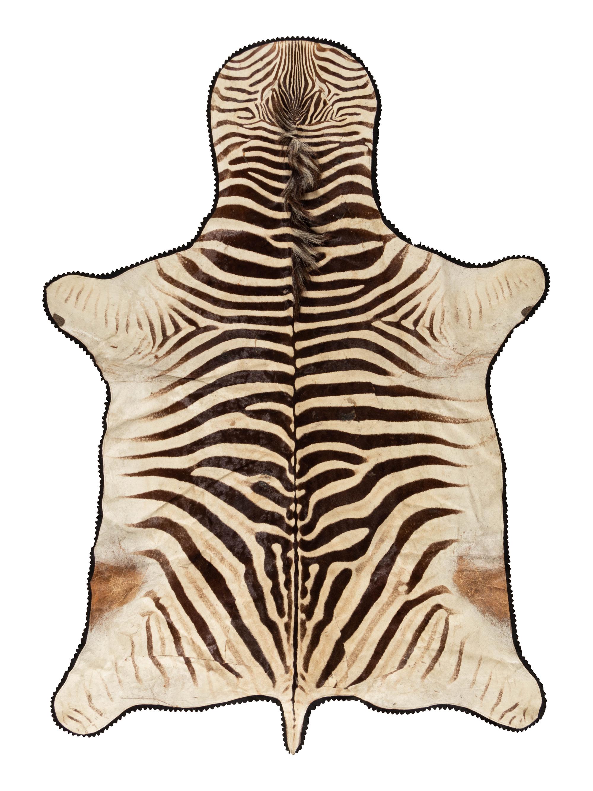 A Taxidermy Zebra Rug