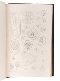 [BOTANY -- PLANT HYBRIDIZATION]. A group of 25 works, including: