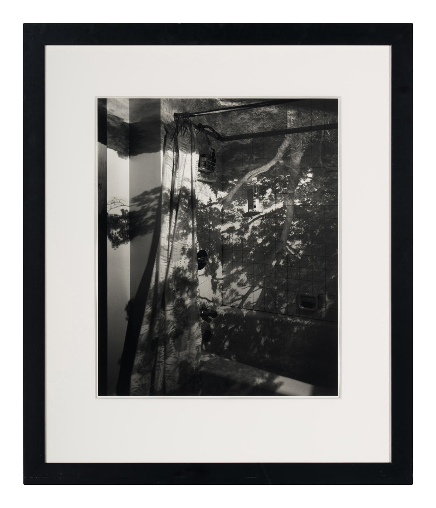 Camera Obscura: Image of a Tree in Bathroom , 1999