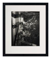 Camera Obscura: Image of a Tree in Bathroom , 1999