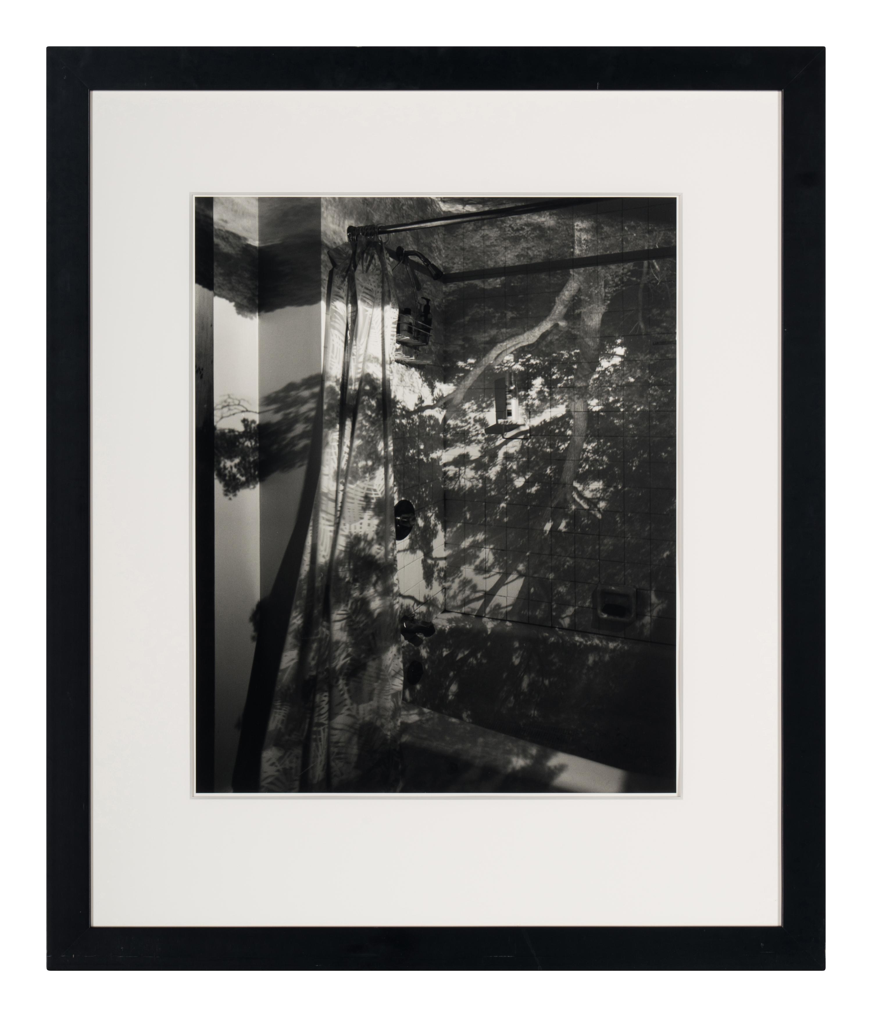 Camera Obscura: Image of a Tree in Bathroom , 1999