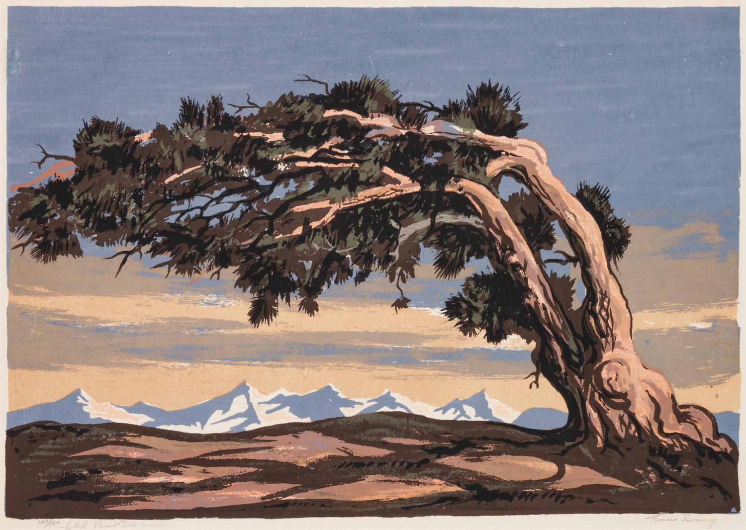 Four Works: Sunset - Santa Fe, edition 115/120; Neighbors , edition 51/100; Abiqui, New Mexico, edition 119/120; Old Pine Tree , edition 101/150