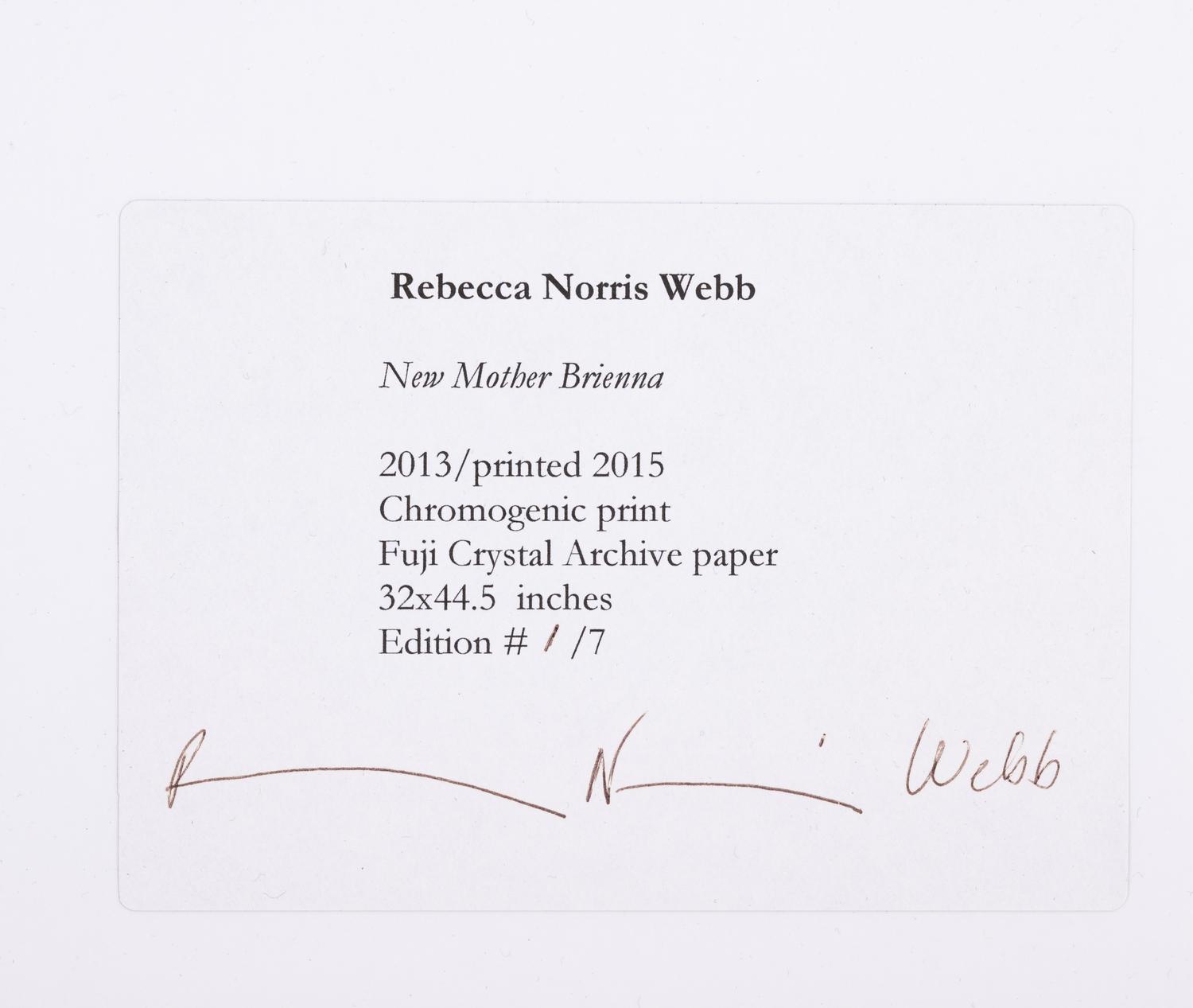 New Mother, Brienna , 2013