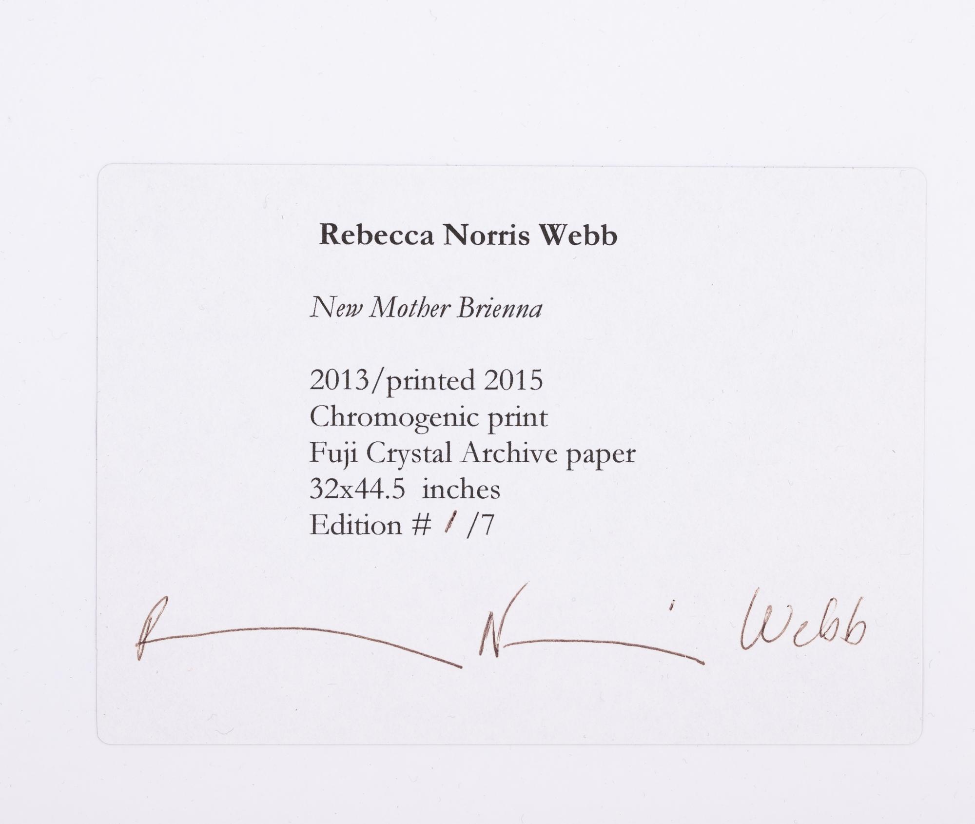 New Mother, Brienna , 2013