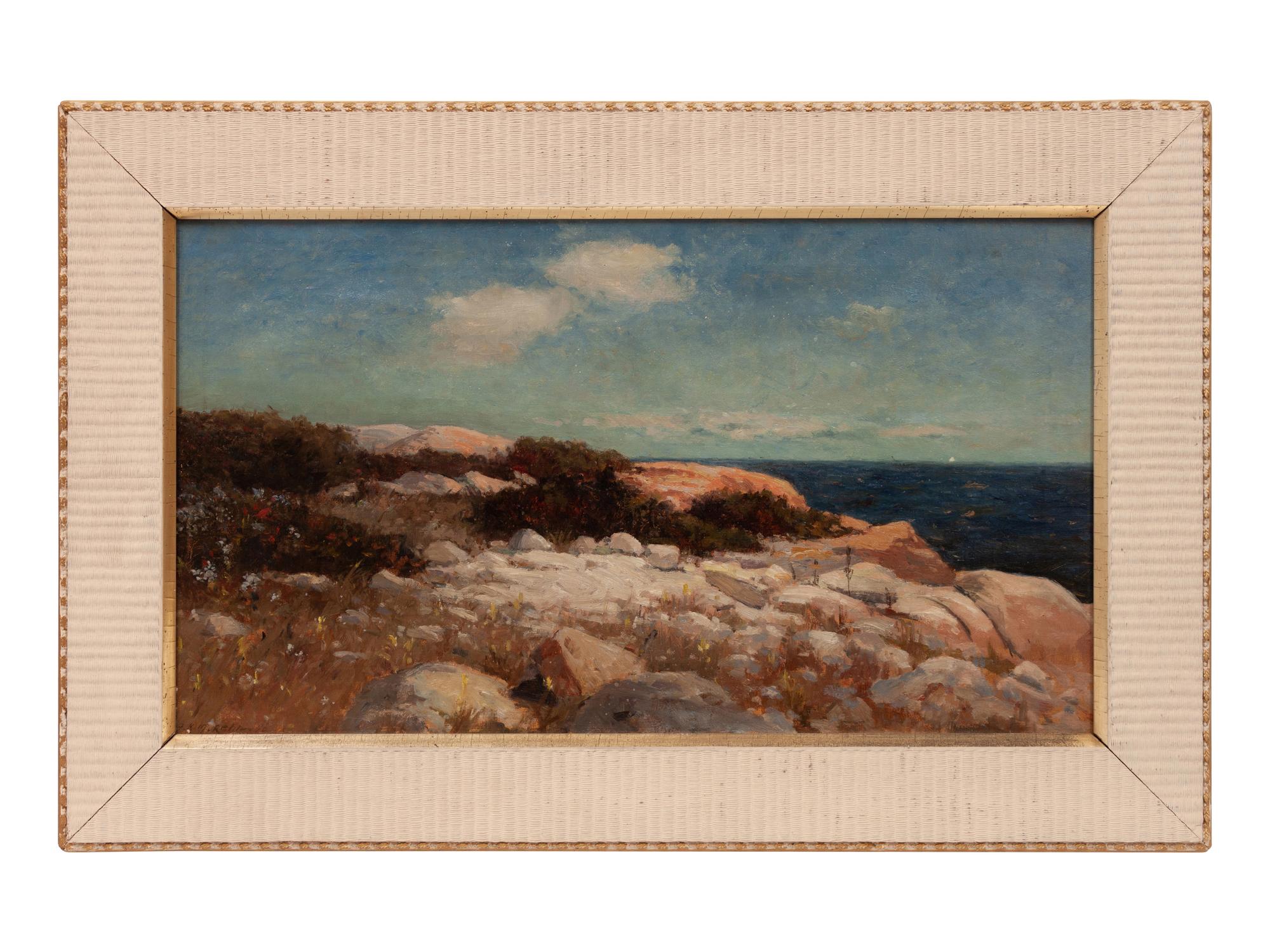 Seaside Landscape