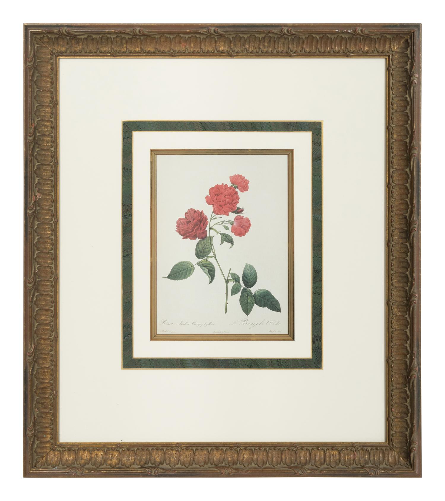 A Set of Six Chromolithographs of Roses after Pierre Joseph Redouté
