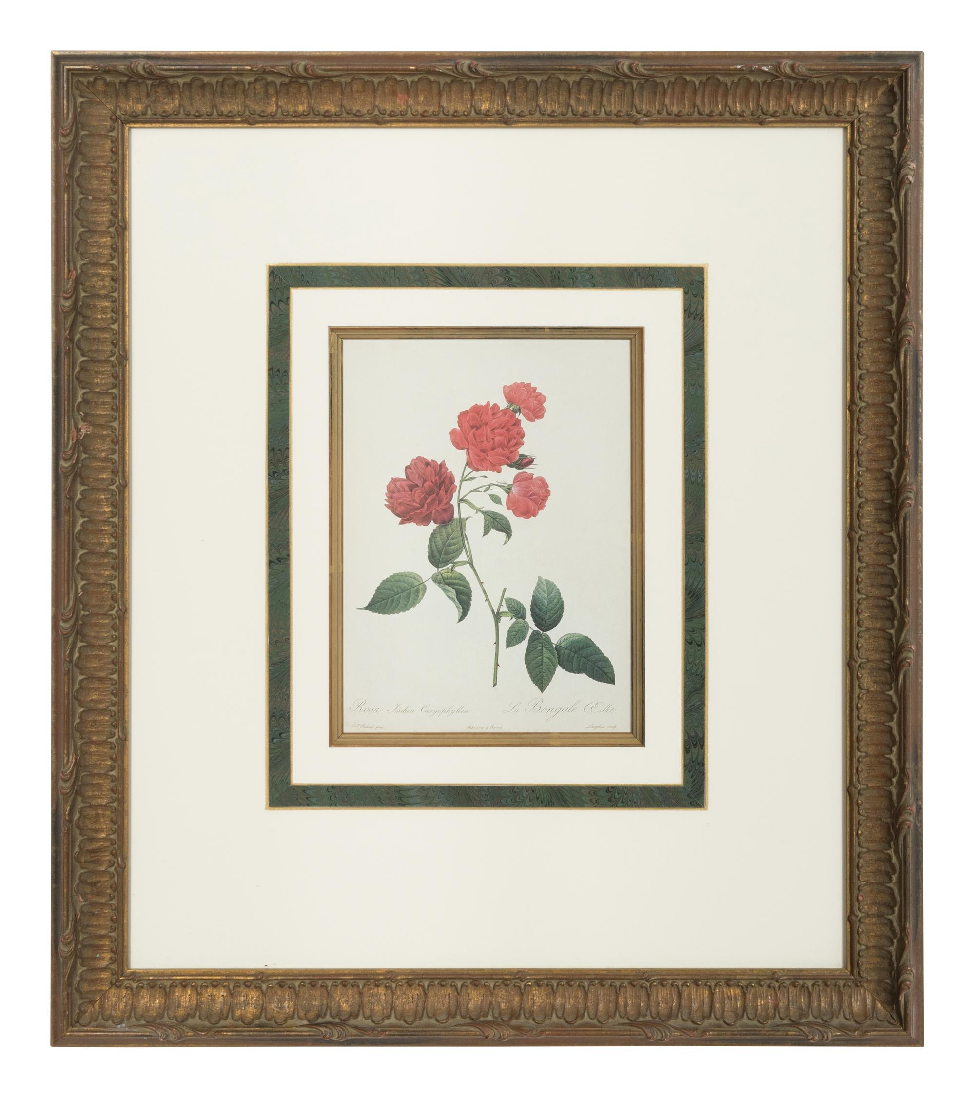 A Set of Six Chromolithographs of Roses after Pierre Joseph Redouté