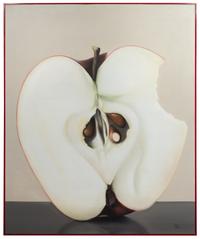 Michel Pellus, (Canadian, b. 1945), Macrotosh
