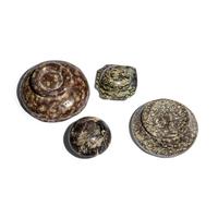 One Egyptian and Three Minoan Stone Bowls