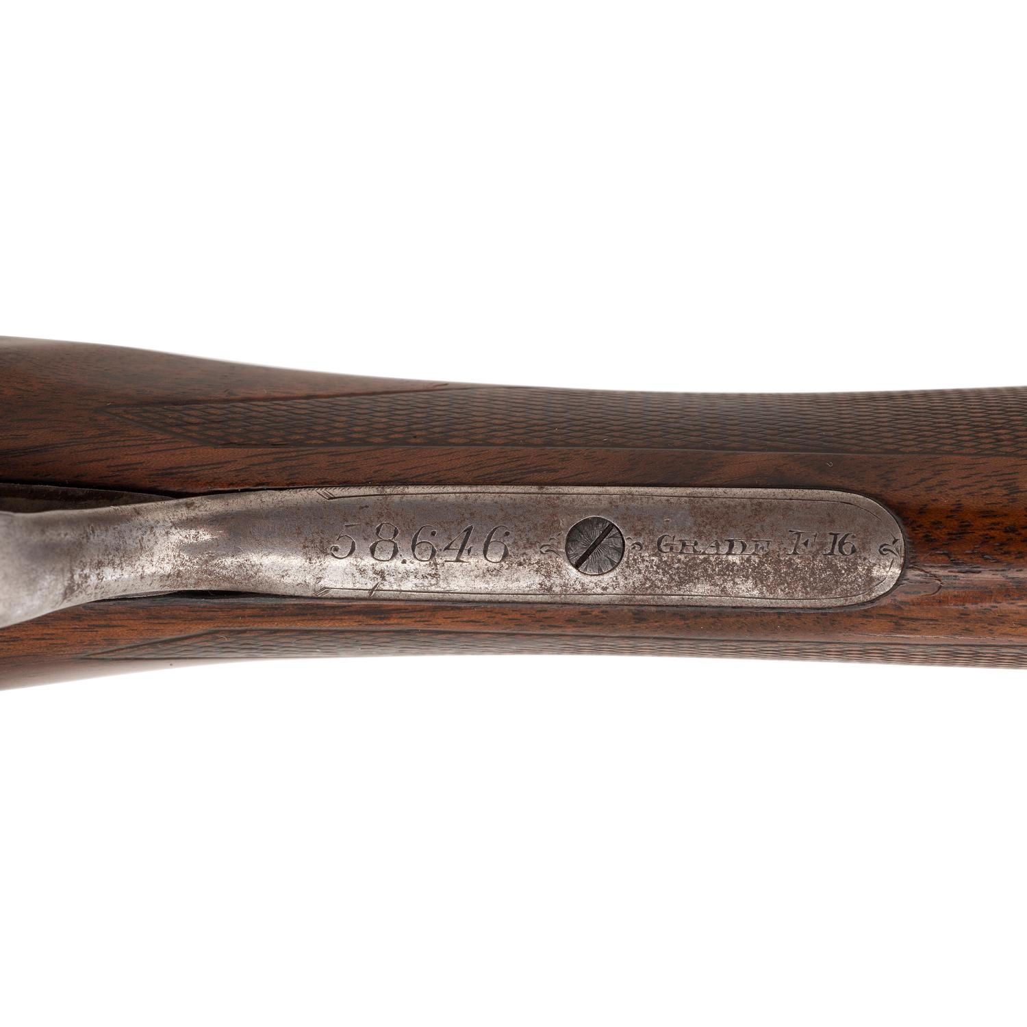 **W.W. Greener F16-Grade 12 Gauge Shotgun