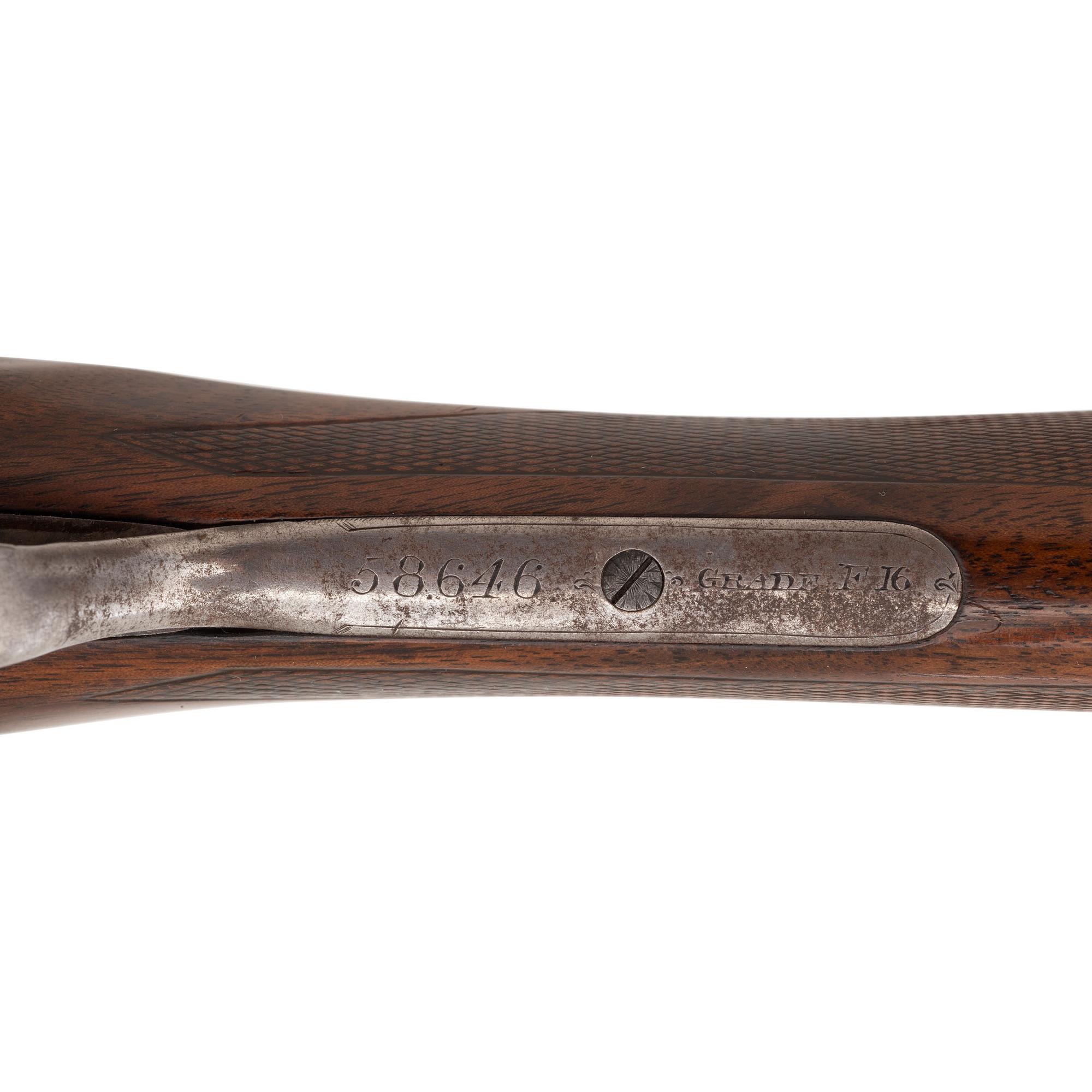 **W.W. Greener F16-Grade 12 Gauge Shotgun