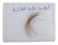 [LINCOLN, Abraham (1809-1865)]. Strands and lock of hair attributed to Abraham Lincoln.