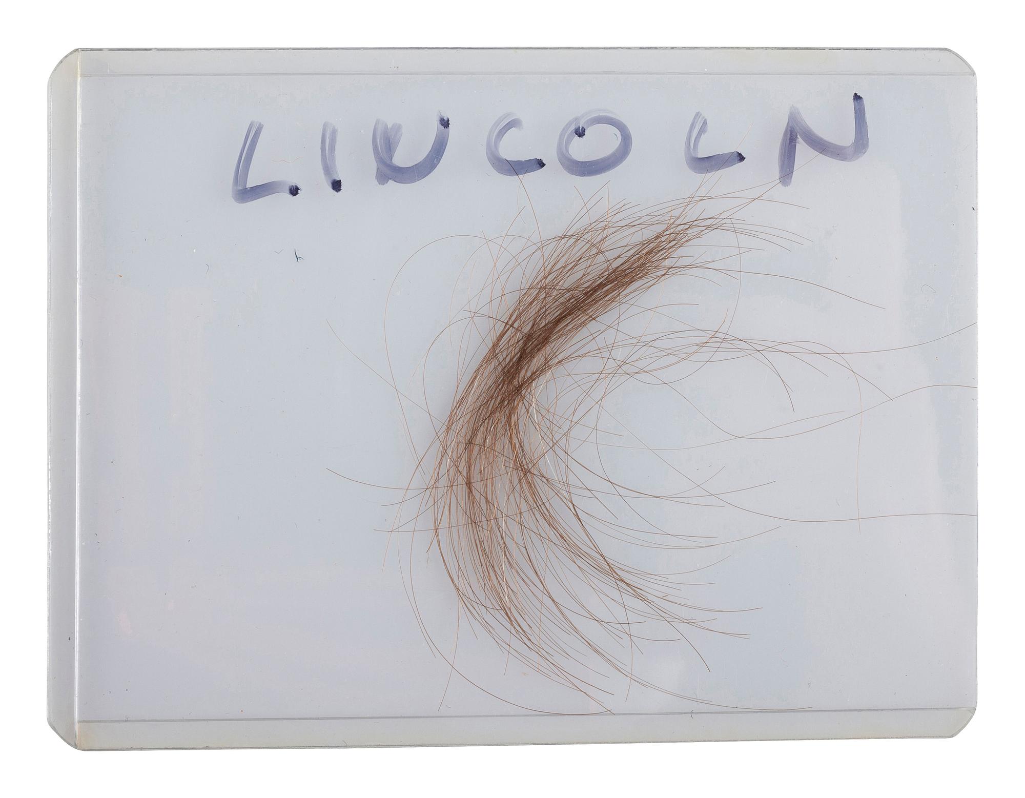 [LINCOLN, Abraham (1809-1865)]. Strands and lock of hair attributed to Abraham Lincoln.