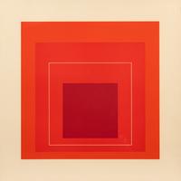 White Line Square XV