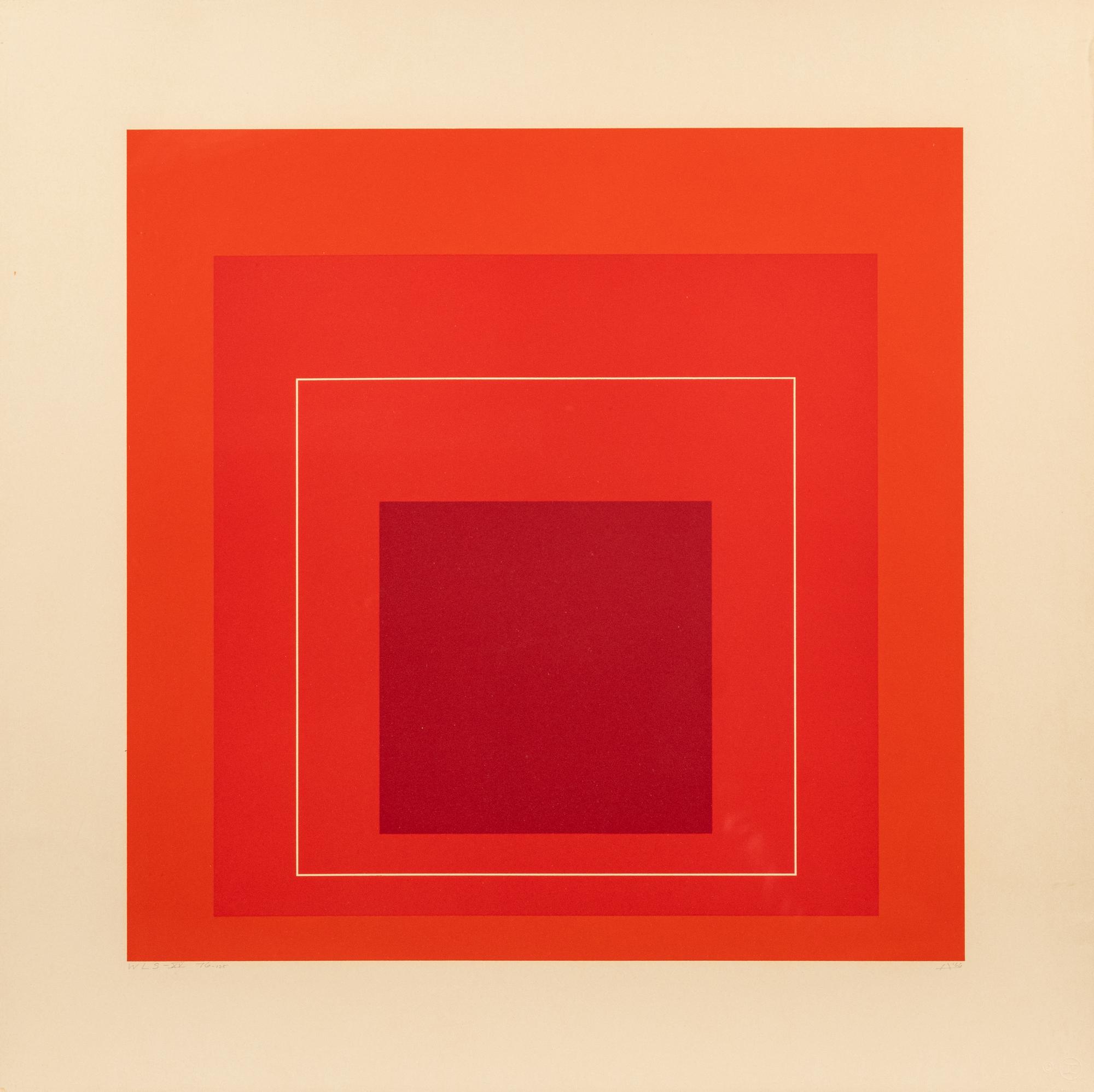 White Line Square XV