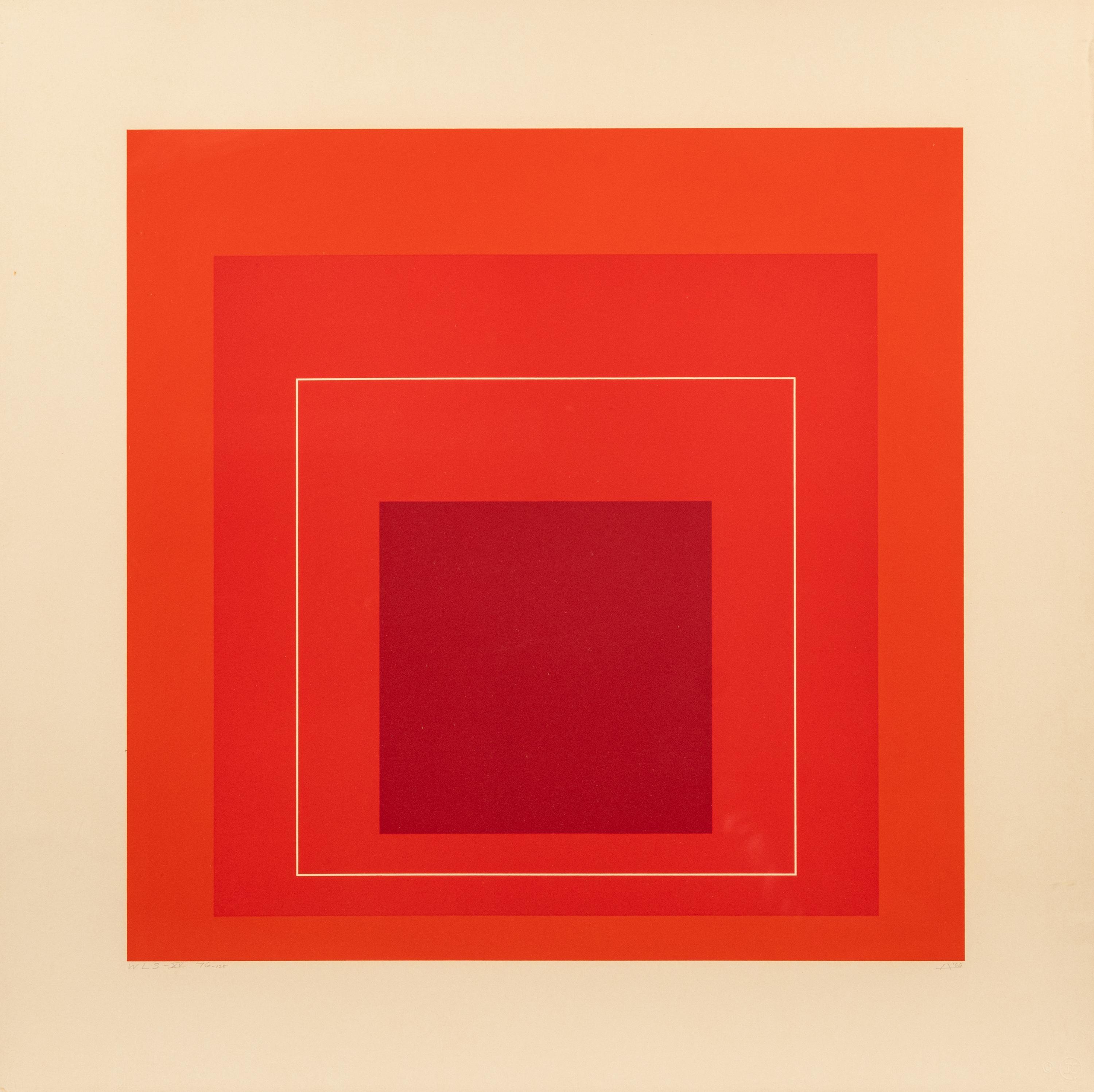White Line Square XV
