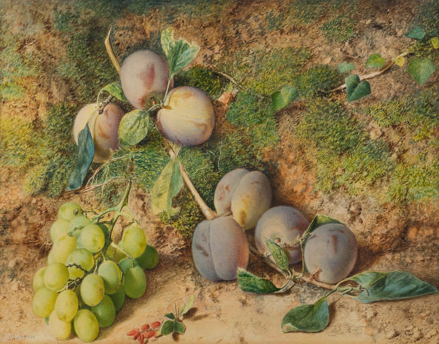 Still-Life of Fruit