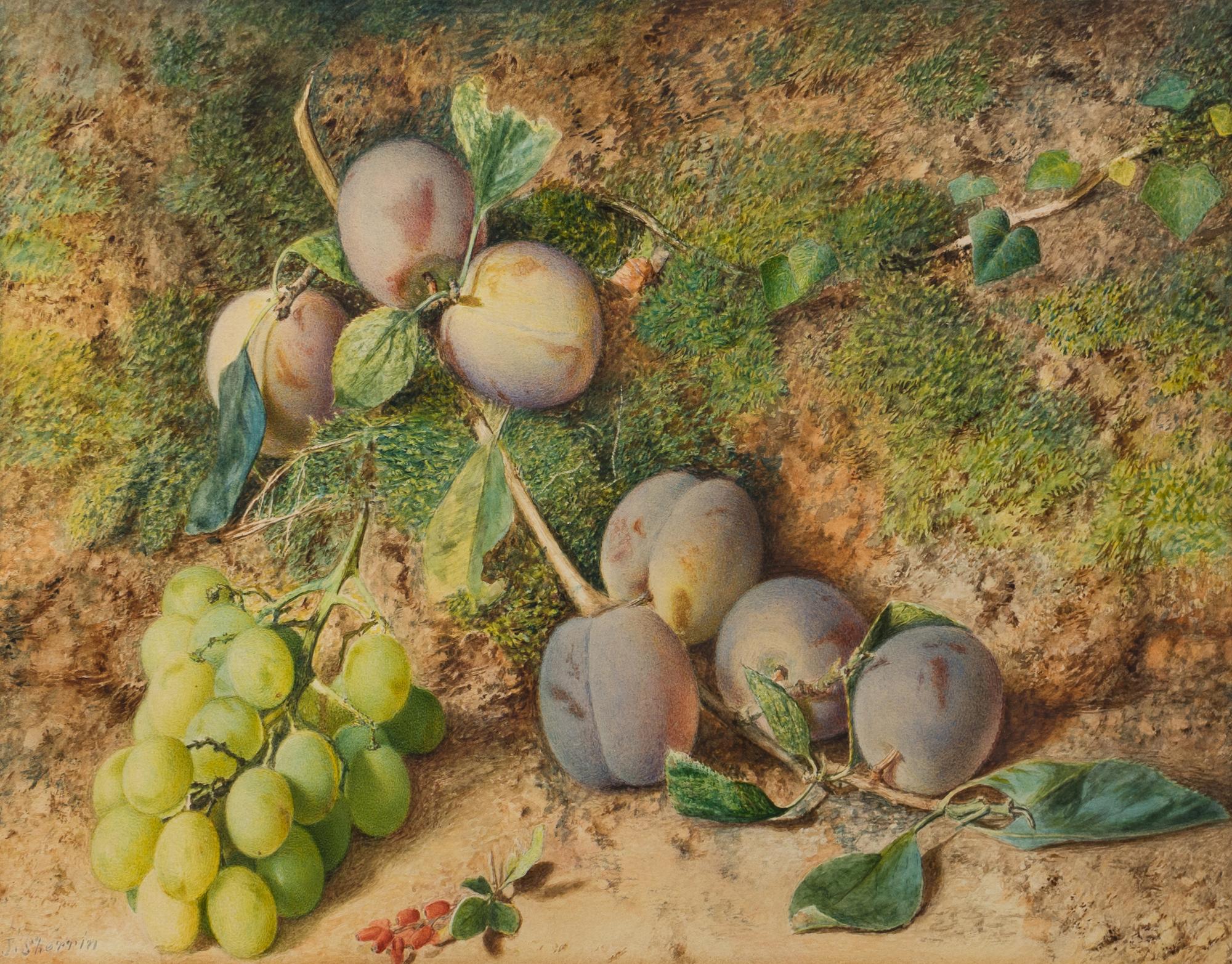 Still-Life of Fruit
