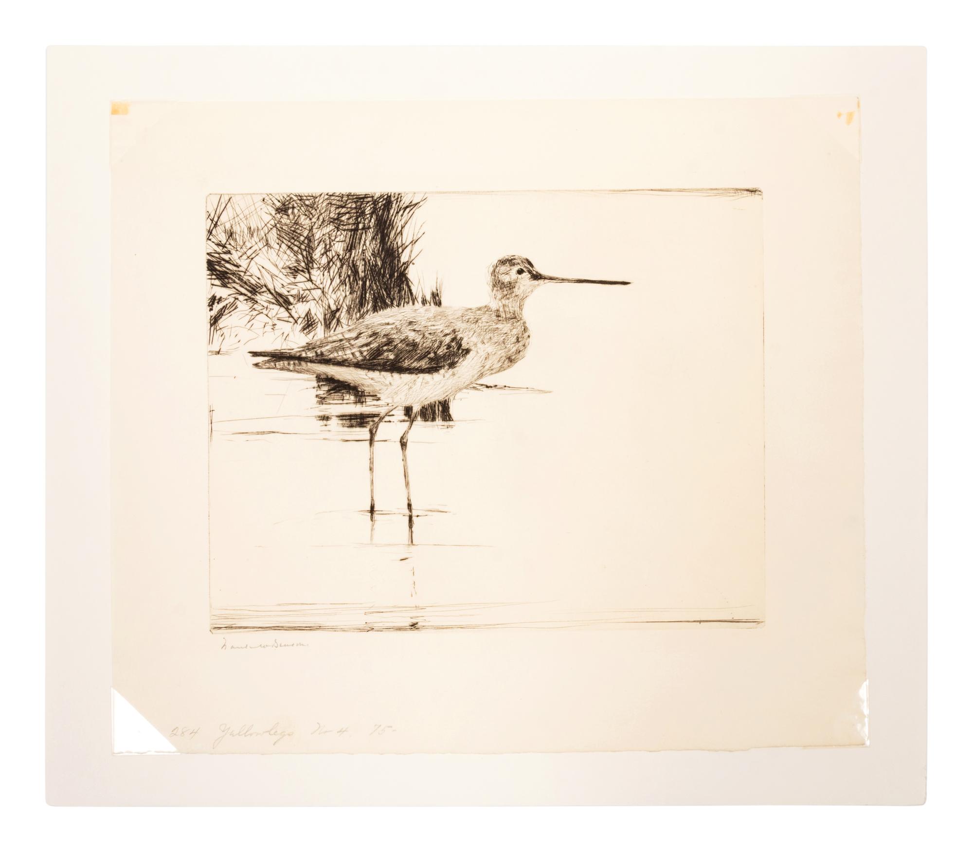 Yellowlegs No. 4