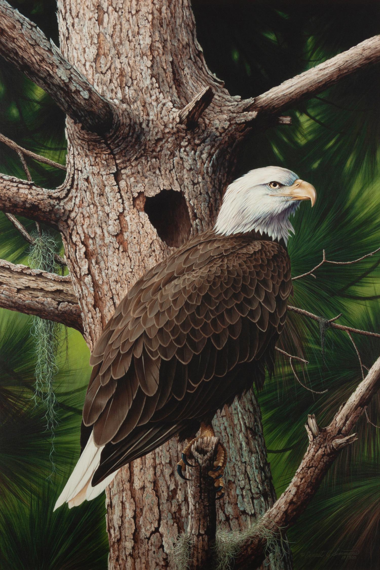 Eagle , edition 17/300