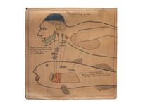 A Bound Set of Folk Art Scientific Drawings