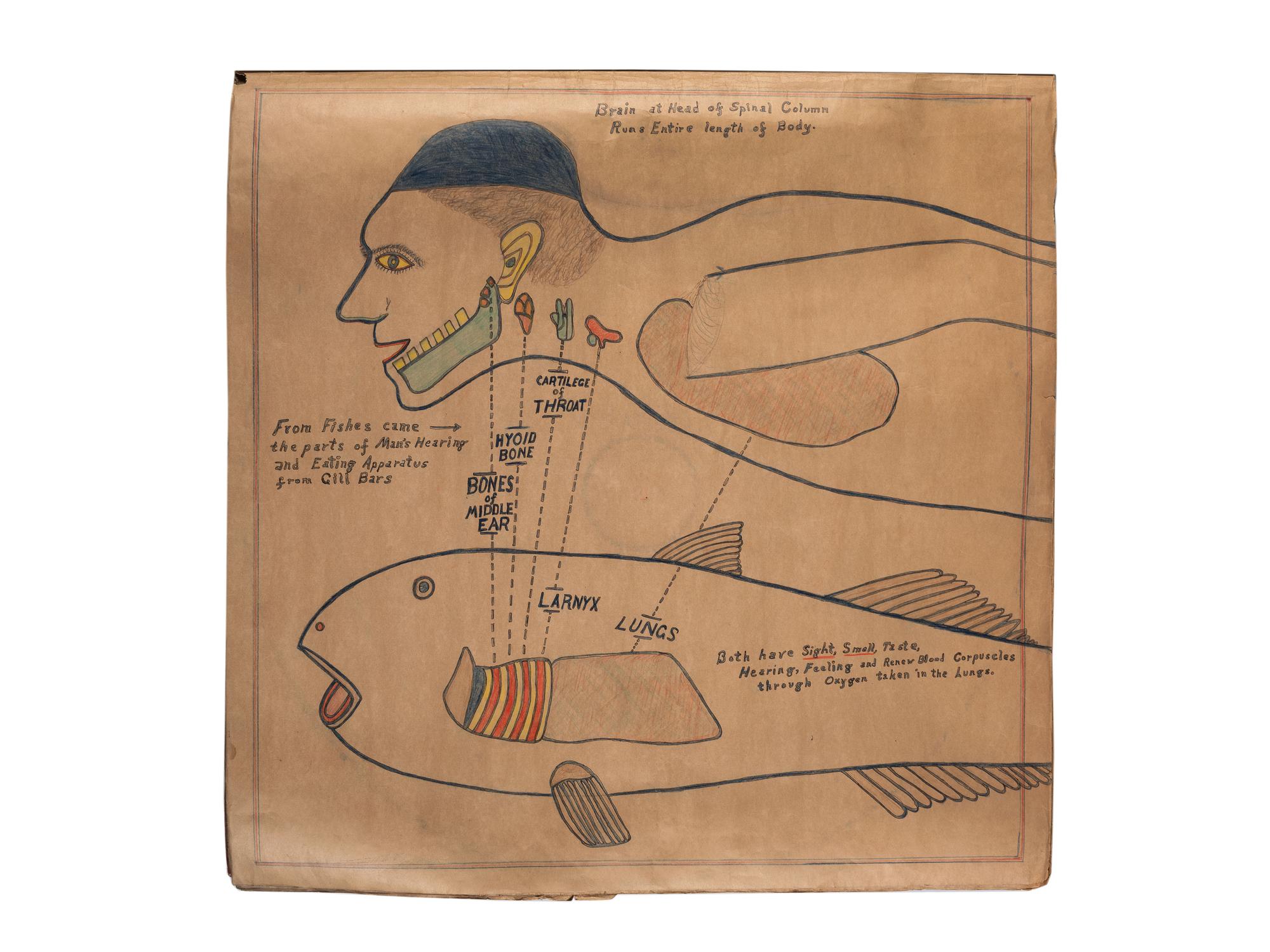 A Bound Set of Folk Art Scientific Drawings