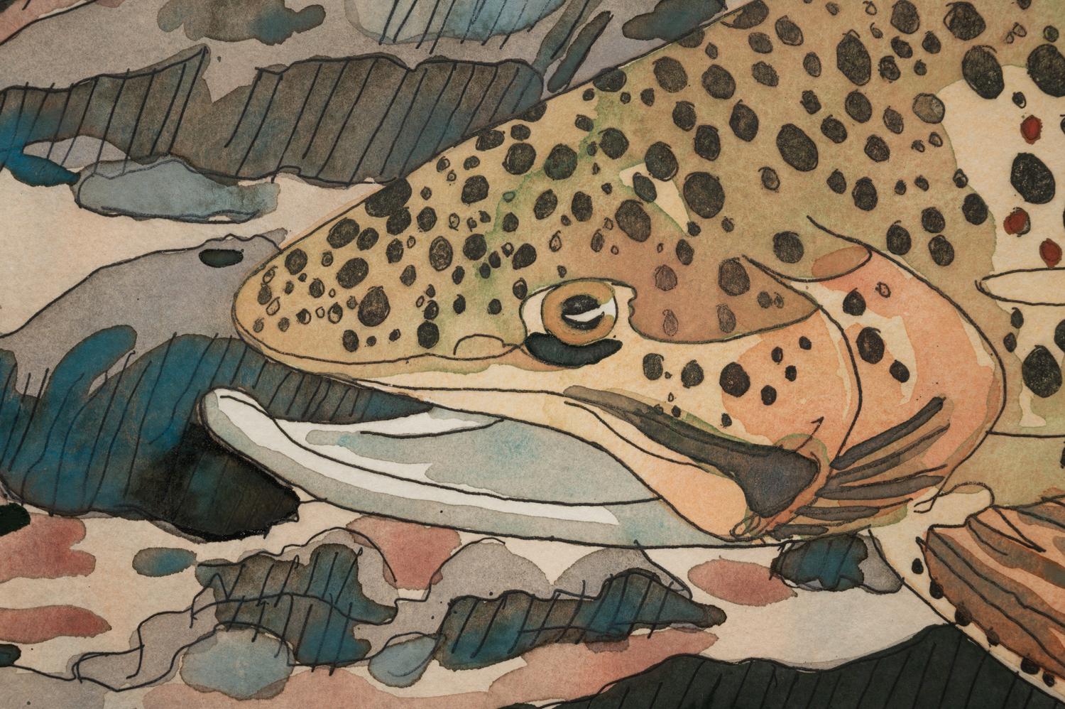 Trout and Reflections
