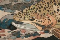 Trout and Reflections