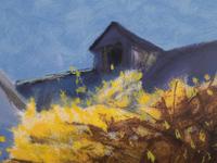 Barn and Forsythia III
