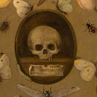 Follower of Joris Hoegfnagel (Flemish, 1542-1601) — Vanitas Still Life with Insects