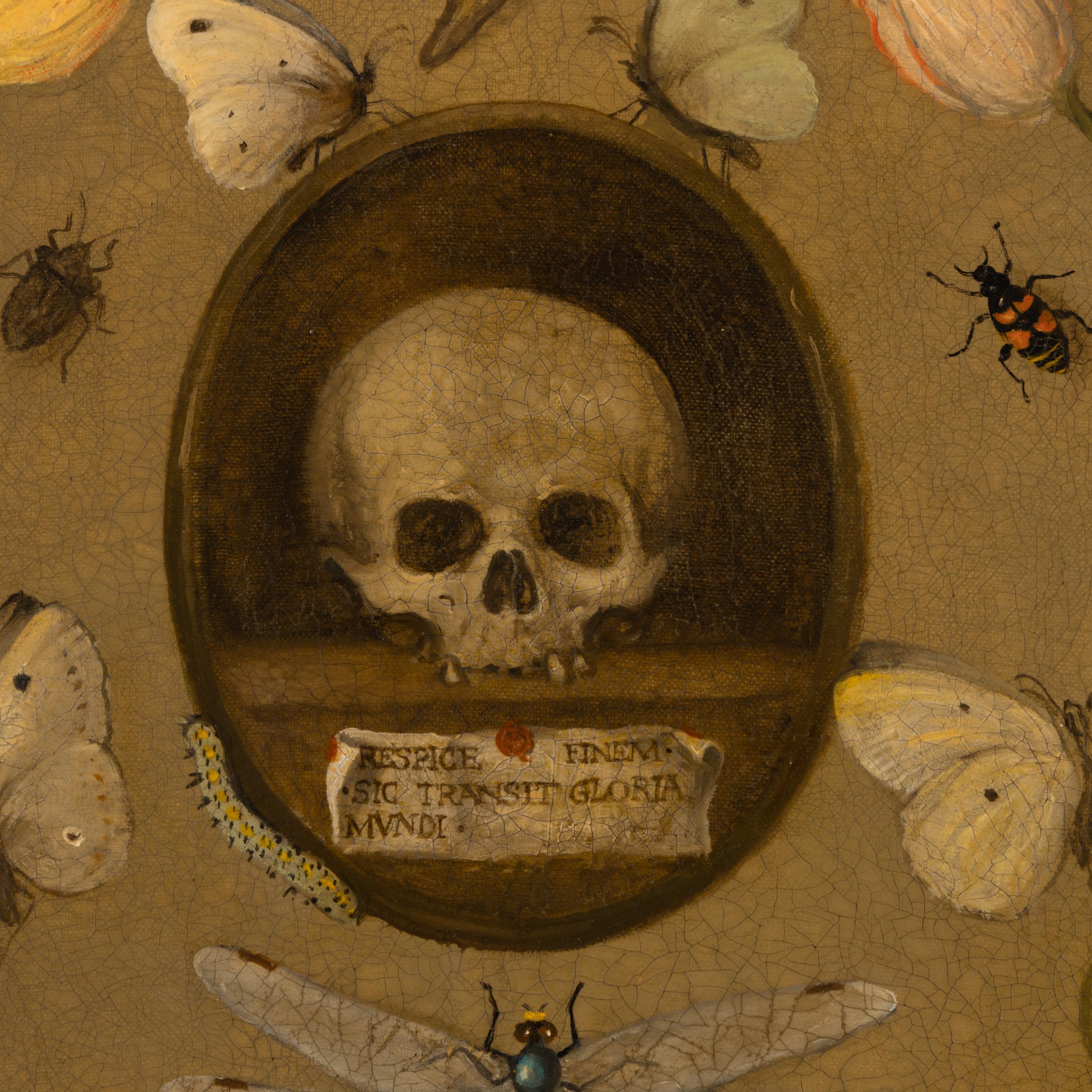 Follower of Joris Hoegfnagel (Flemish, 1542-1601) — Vanitas Still Life with Insects