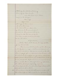[POLITICS IN AMERICA]. A group of 8 items related to early African American politicians and government officials including Reconstruction-era Congressmen and attorneys.