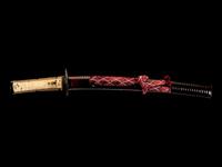 A Wakizashi