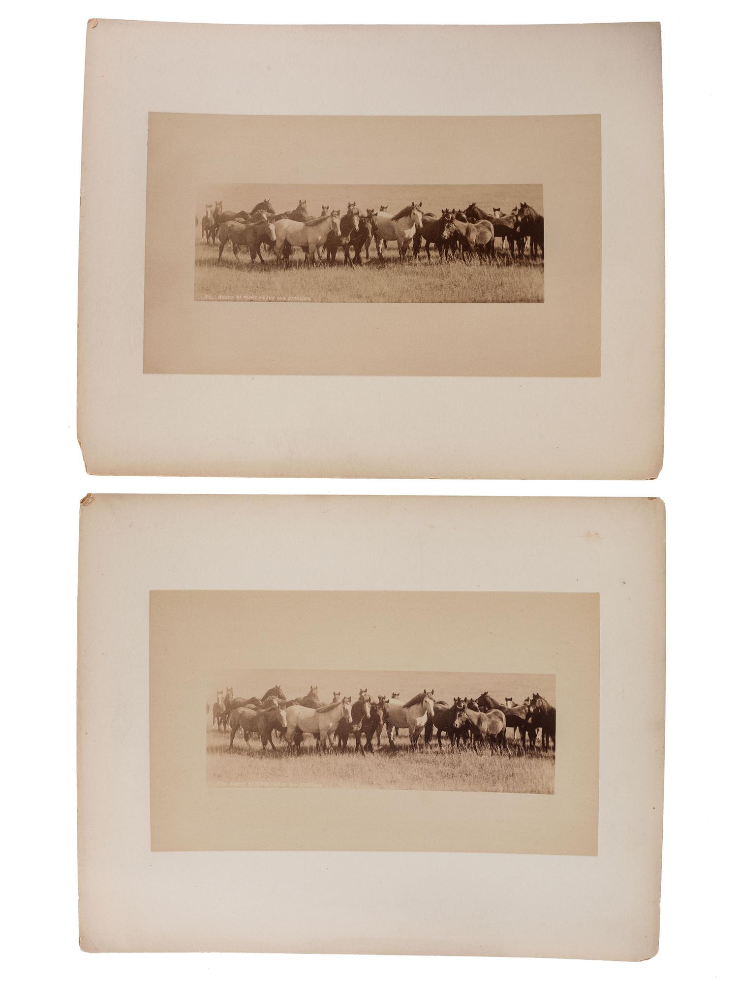 [MONTANA]-- [DAKOTA]. A group of 5 photographs, incl. buffalo, elk, and horses, highlighted by stereoview of horse-drawn wagon outside the "Pony Saloon" in Glendale, Montana by Henry W. Brown.
