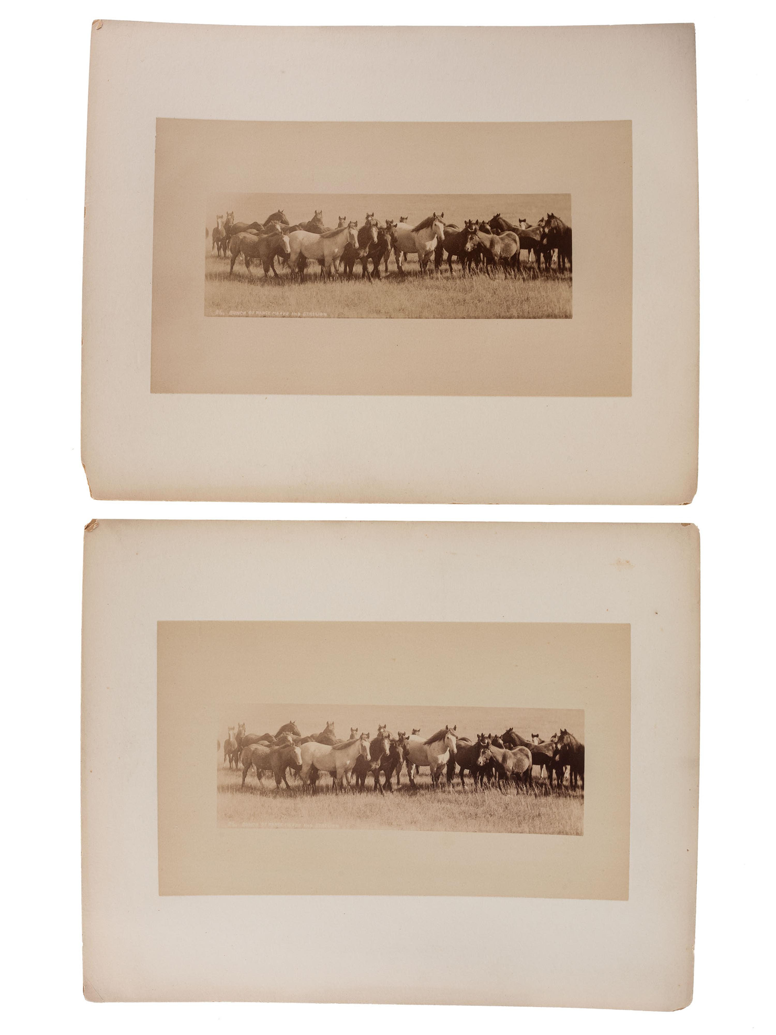 [MONTANA]-- [DAKOTA]. A group of 5 photographs, incl. buffalo, elk, and horses, highlighted by stereoview of horse-drawn wagon outside the "Pony Saloon" in Glendale, Montana by Henry W. Brown.