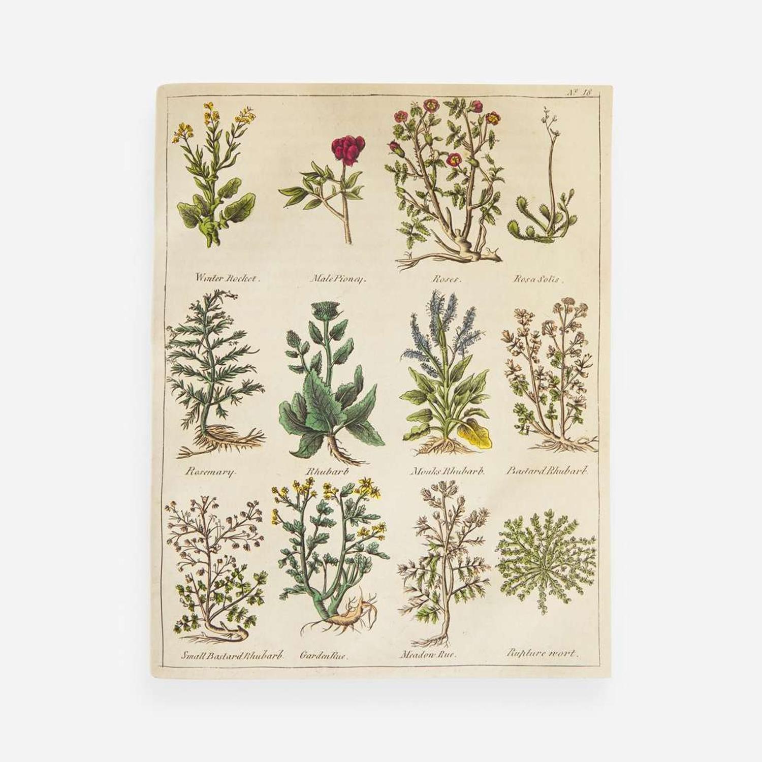 [Science, Medicine, & Mathematics] [Culpeper, Nicholas] Sibly, E(benezer). Culpeper's English Physician; and Complete Herbal...