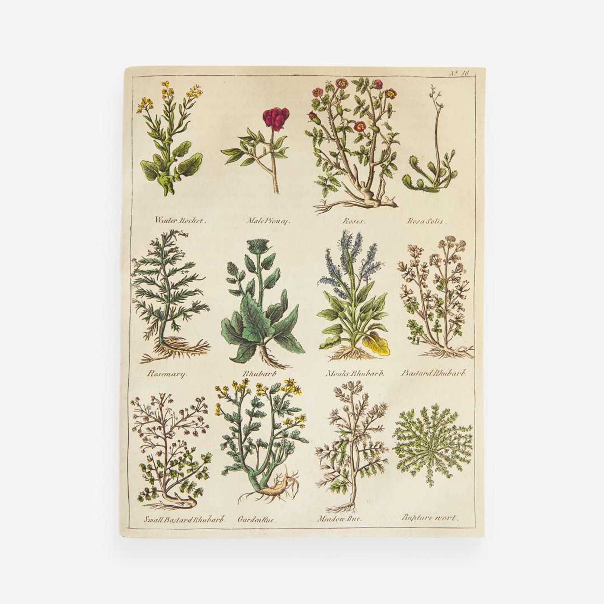 [Science, Medicine, & Mathematics] [Culpeper, Nicholas] Sibly, E(benezer). Culpeper's English Physician; and Complete Herbal...